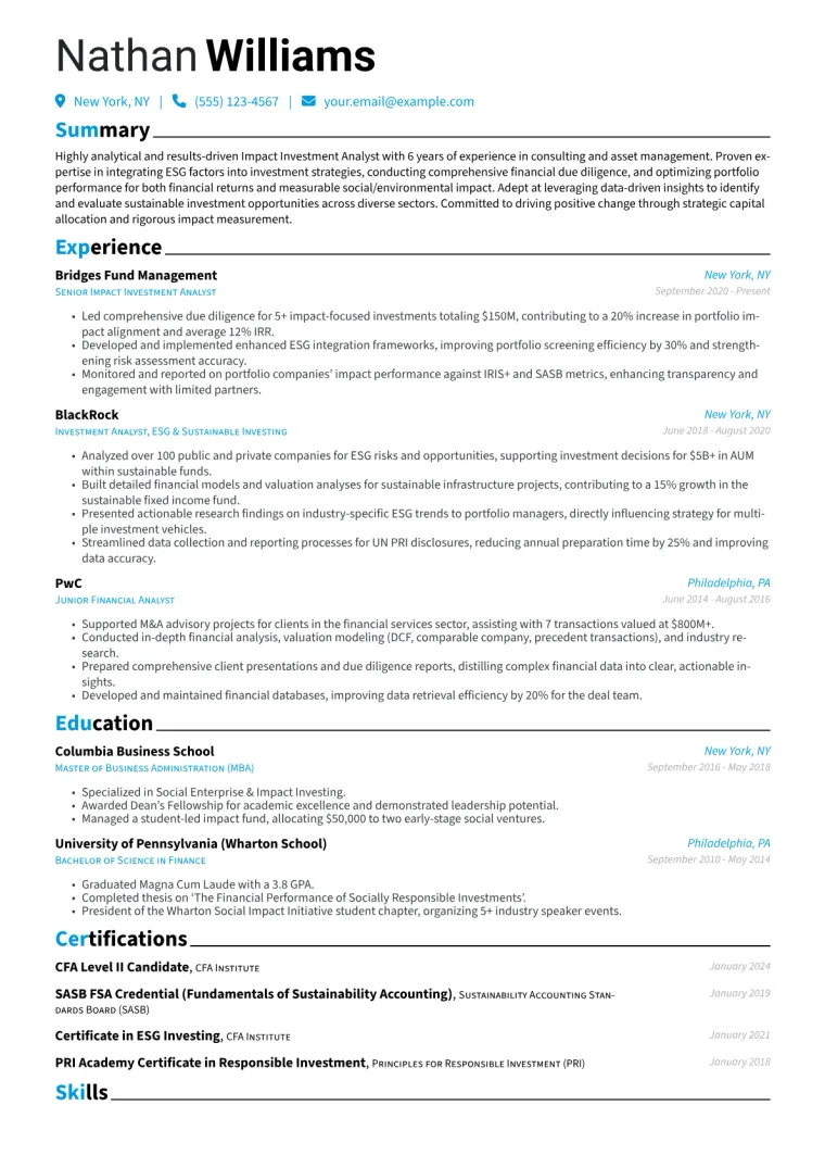 Impact Investment Analyst Resume Example CV template preview