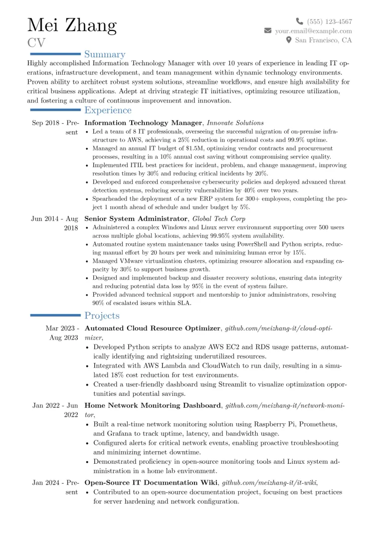 Information Technology Manager Resume Example CV template preview