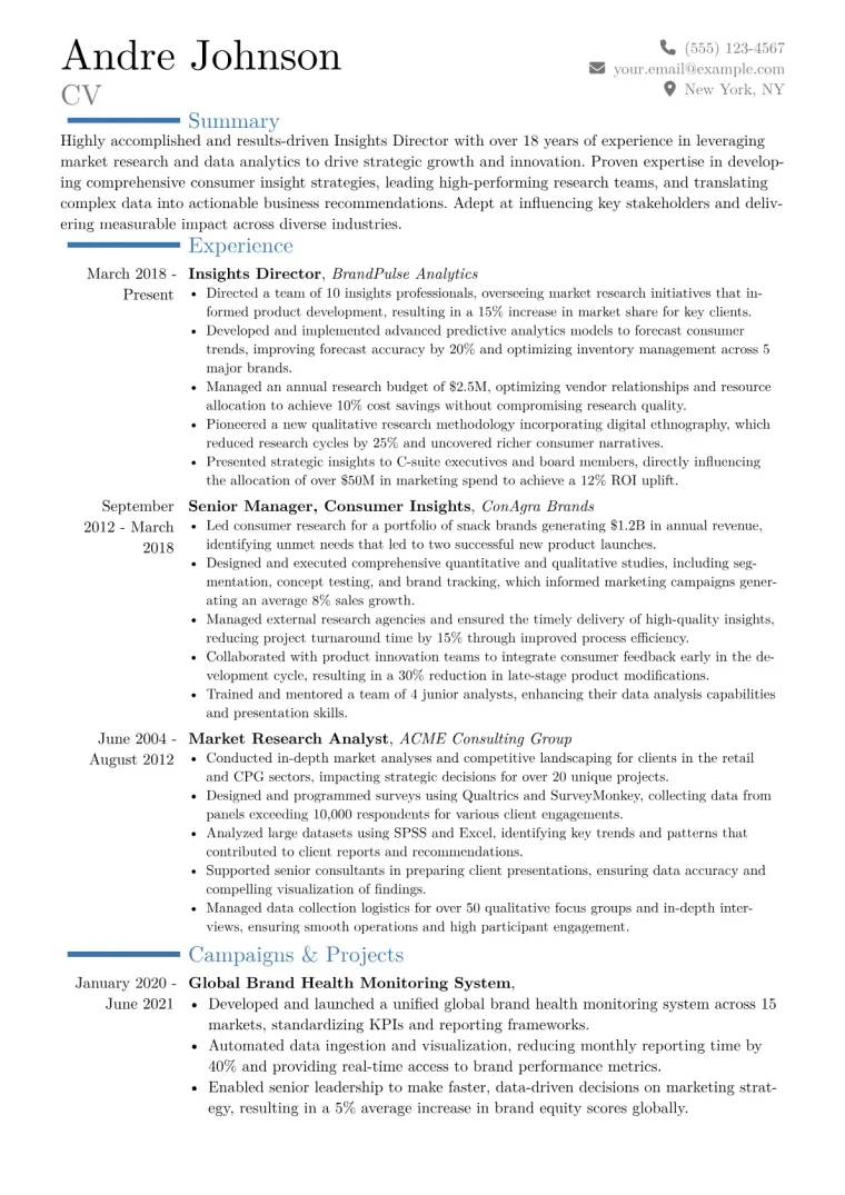 Insights Director Resume Example CV template preview