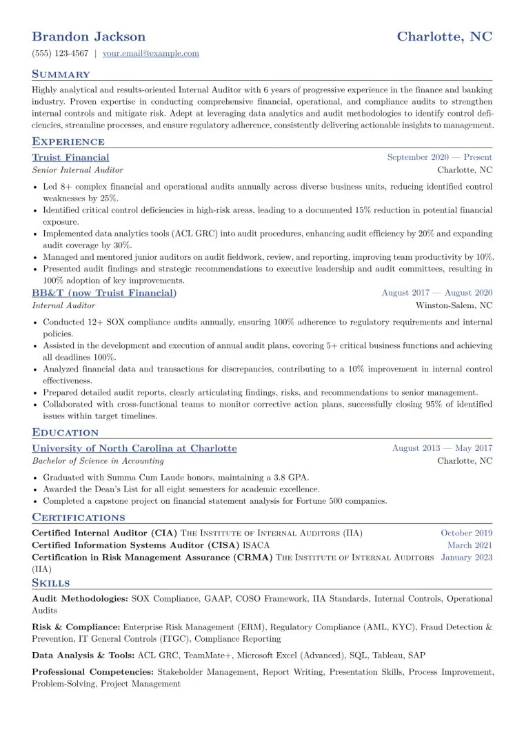 Internal Auditor Resume Example CV template preview