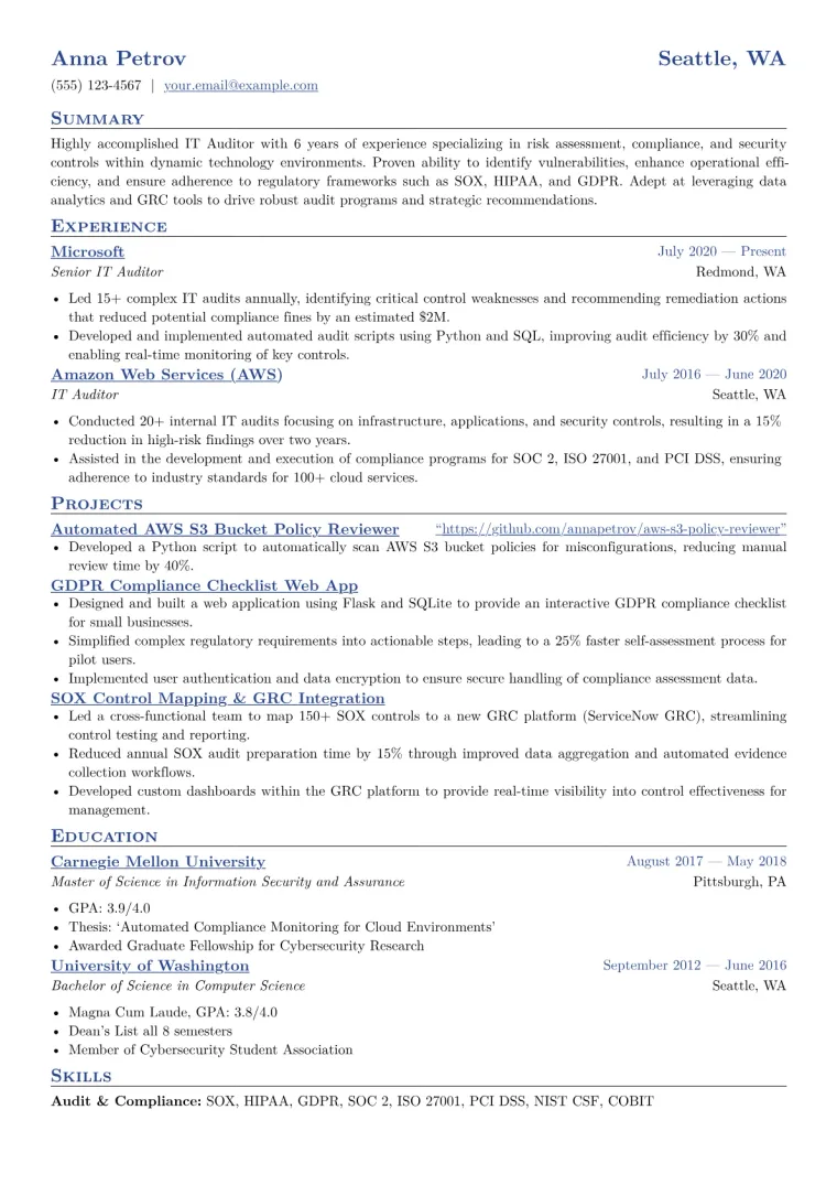 IT Auditor Resume Example CV template preview