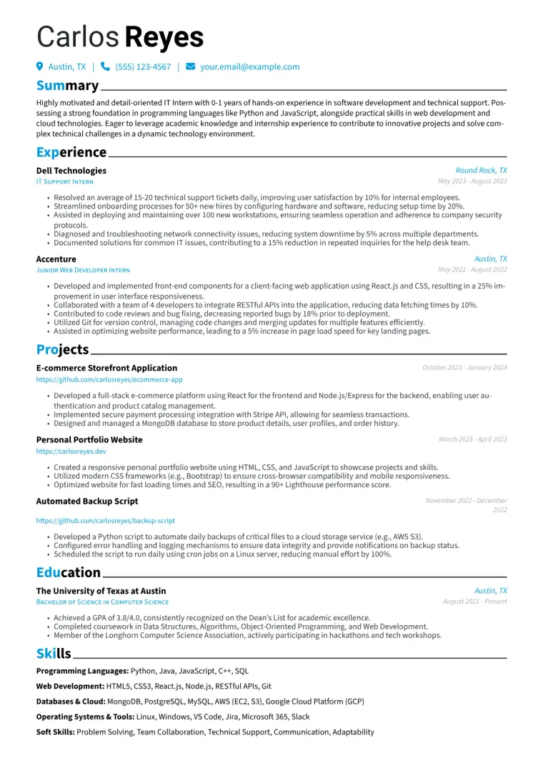 IT Intern Resume Example