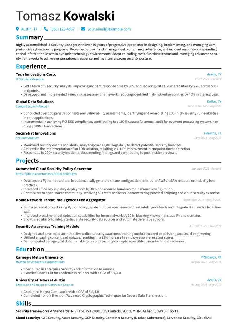 IT Security Manager Resume Example CV template preview