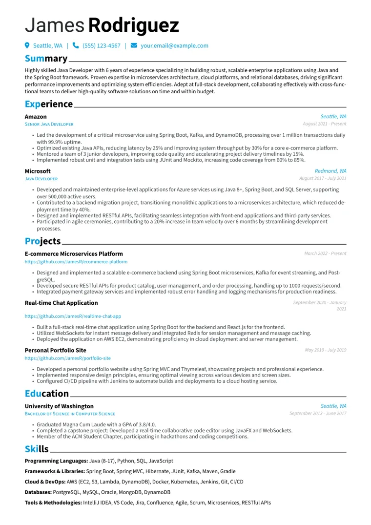 Java Developer Resume Example CV template preview