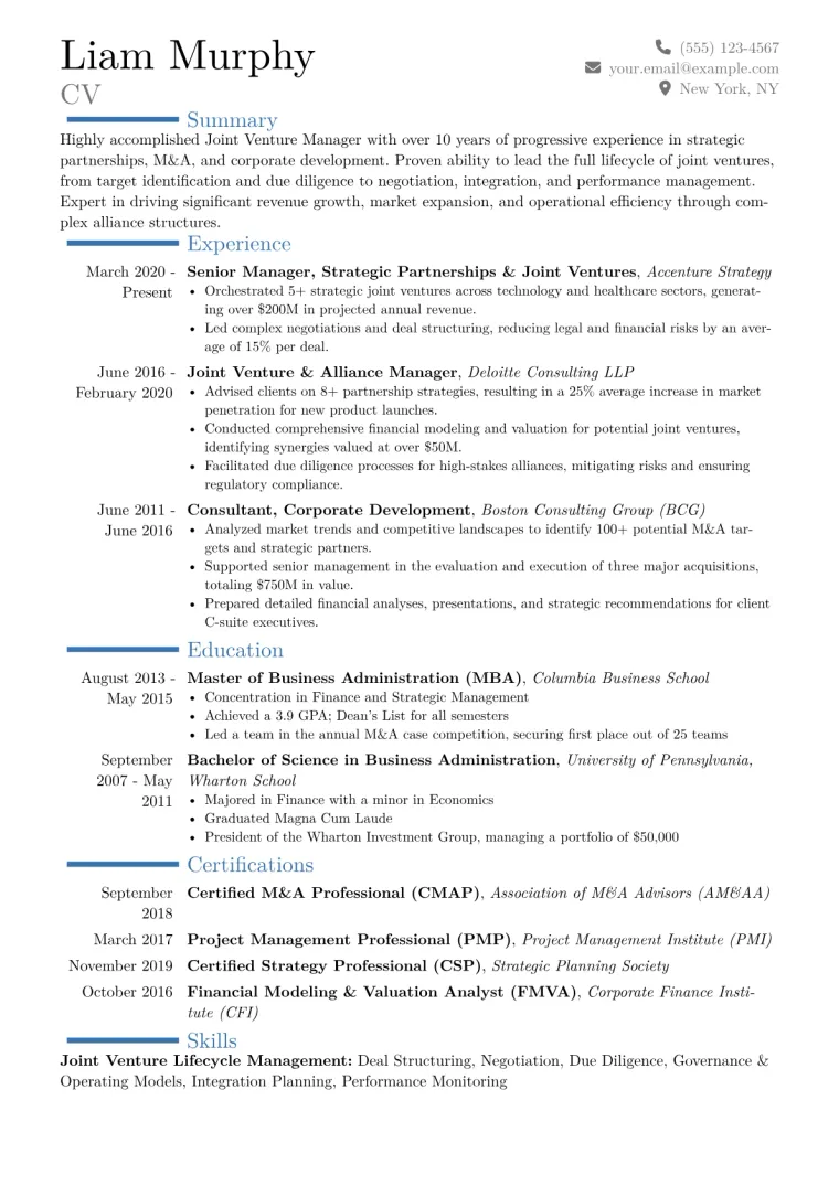 Joint Venture Manager Resume Example CV template preview