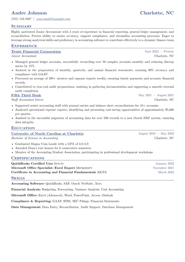 Junior Accountant Resume Example CV template preview
