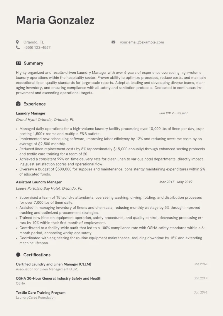 Laundry Manager Resume Example CV template preview