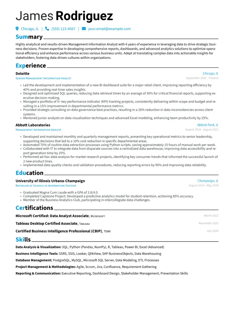 Management Information Analyst Resume Example CV template preview