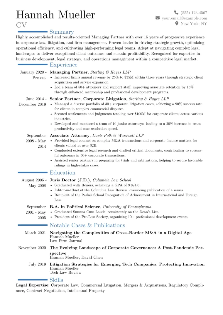 Managing Partner Law Firm Resume Example CV template preview