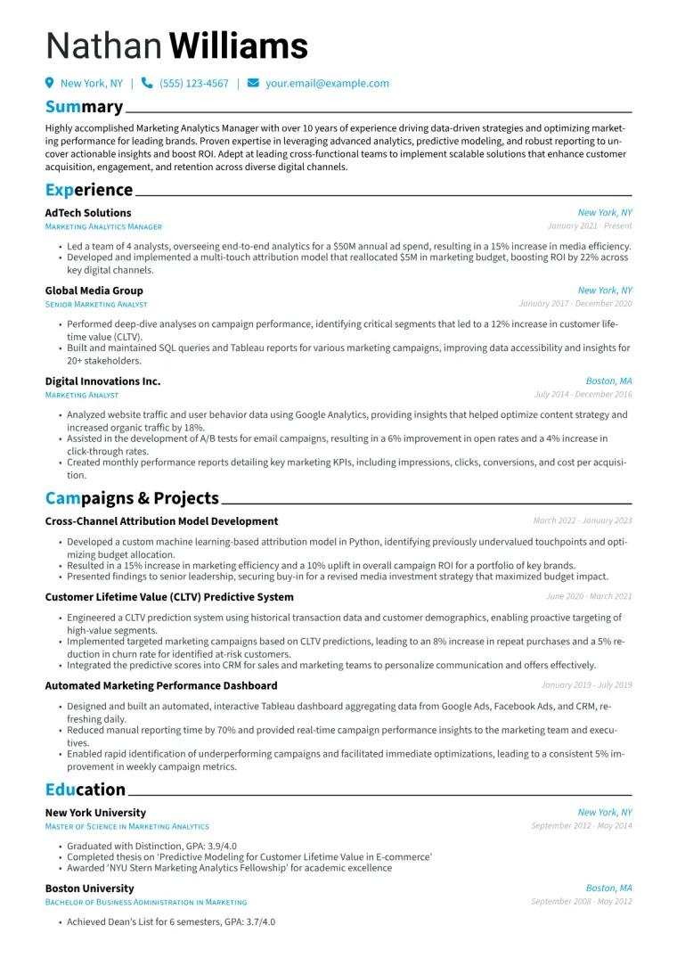 Marketing Analytics Manager Resume Example CV template preview