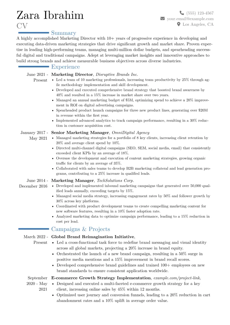 Marketing Director Resume Example