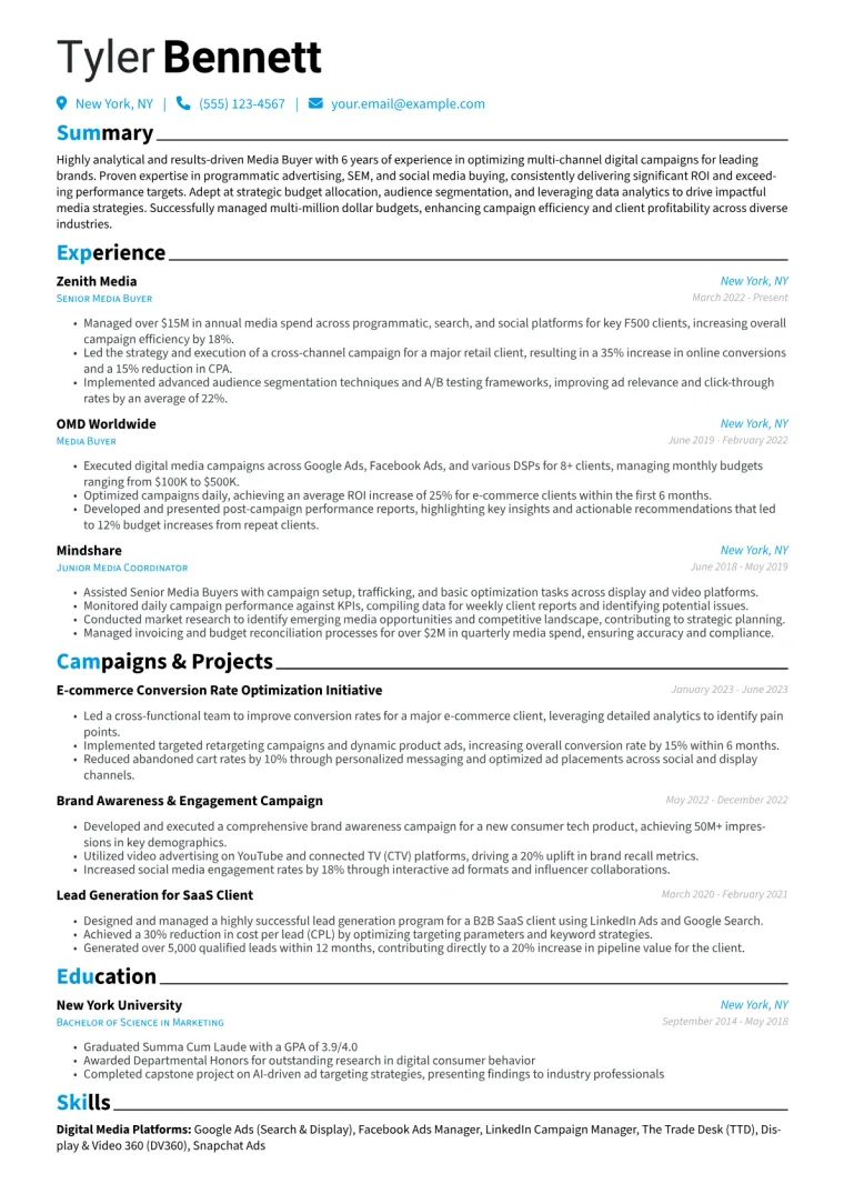 Media Buyer Resume Example CV template preview