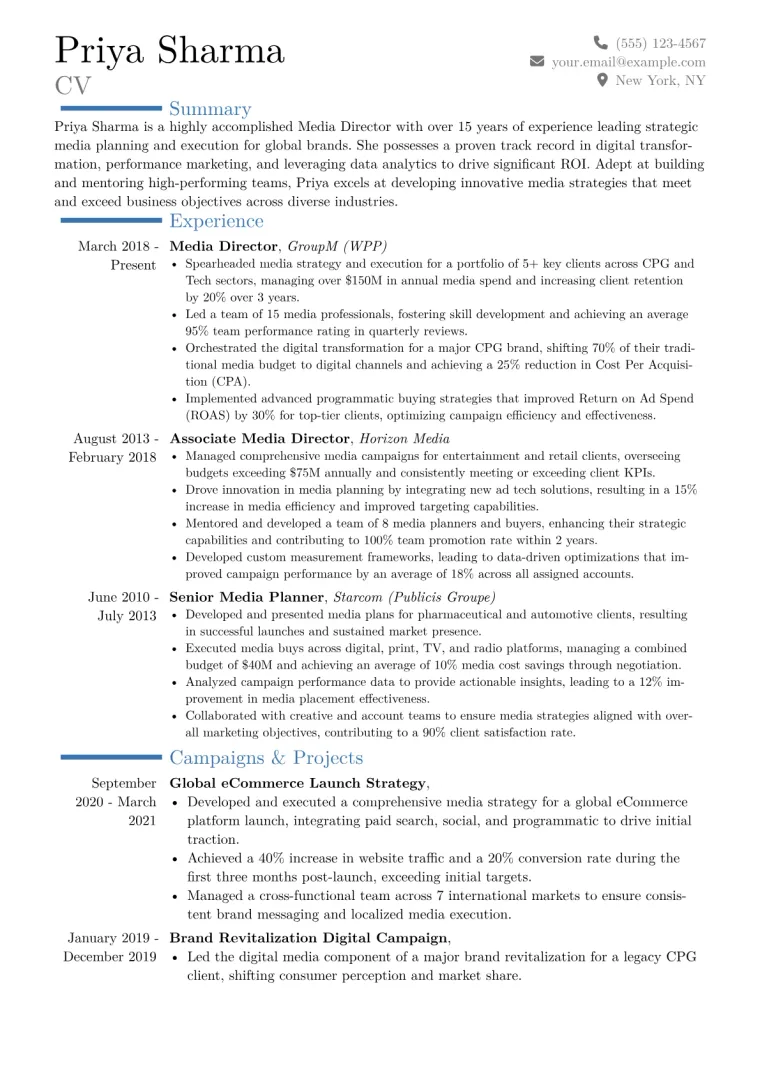 Media Director Resume Example CV template preview
