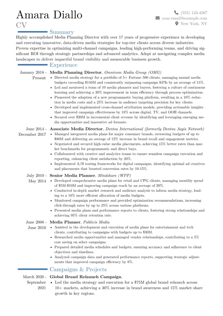 Media Planning Director Resume Example CV template preview