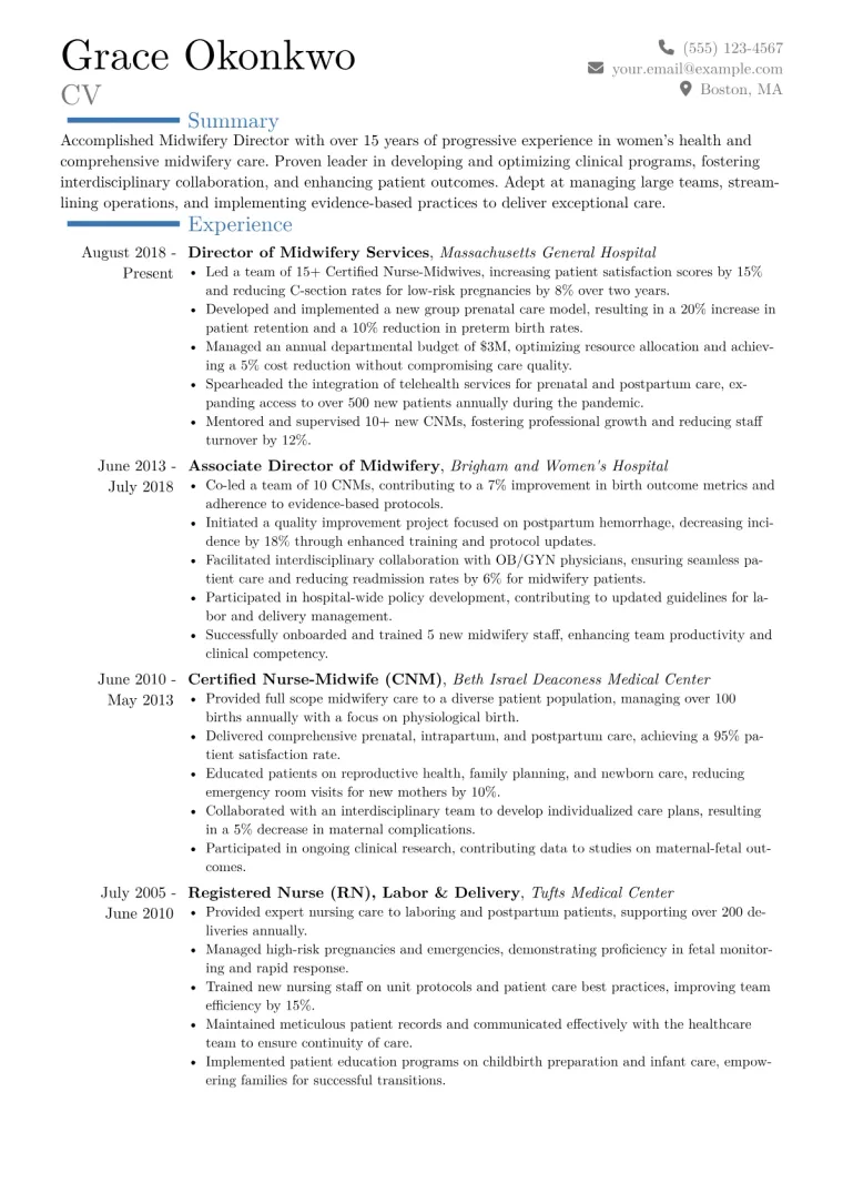 Midwifery Director Resume Example CV template preview