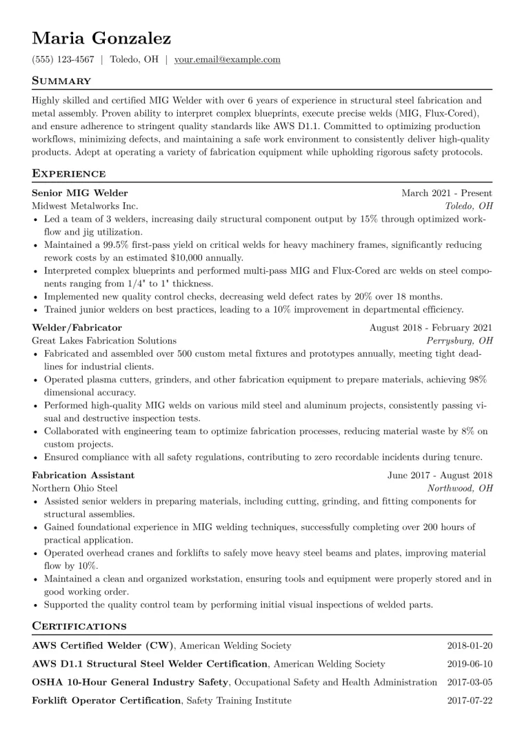 MIG Welder Resume Example CV template preview