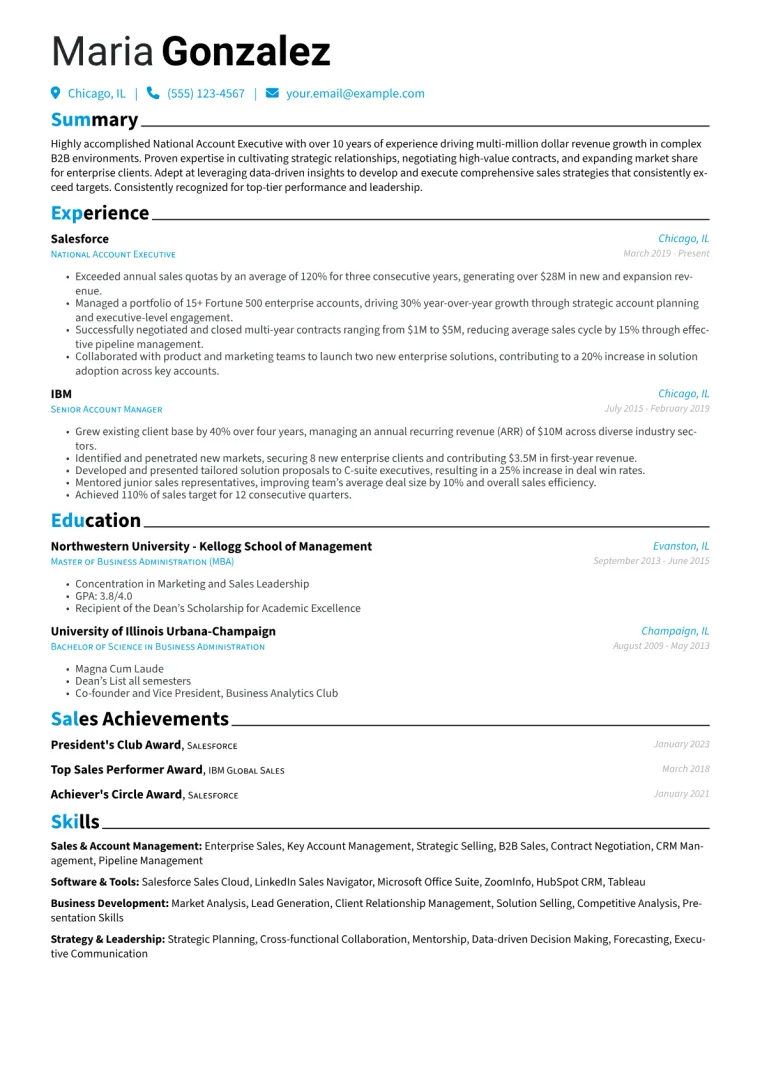 National Account Executive Resume Example CV template preview