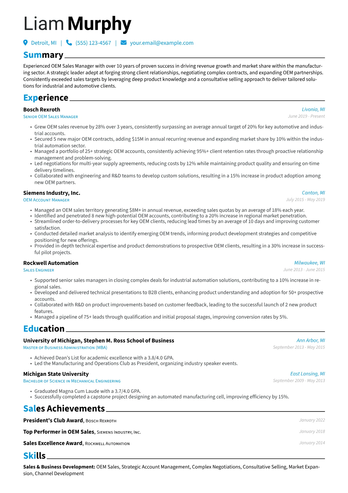 OEM Sales Manager Resume Example CV template - Page 1