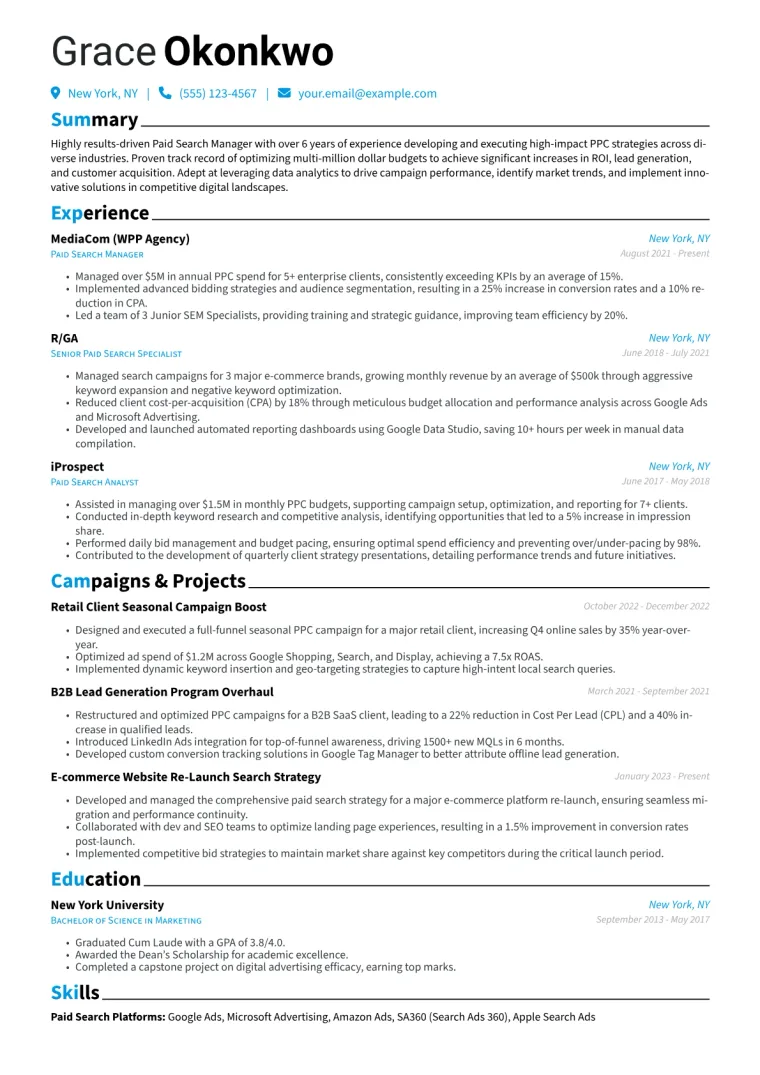 Paid Search Manager Resume Example CV template preview