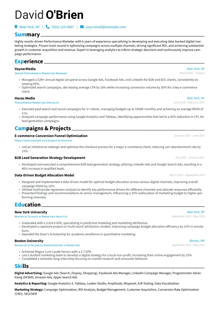 Performance Marketer Resume Example CV template preview