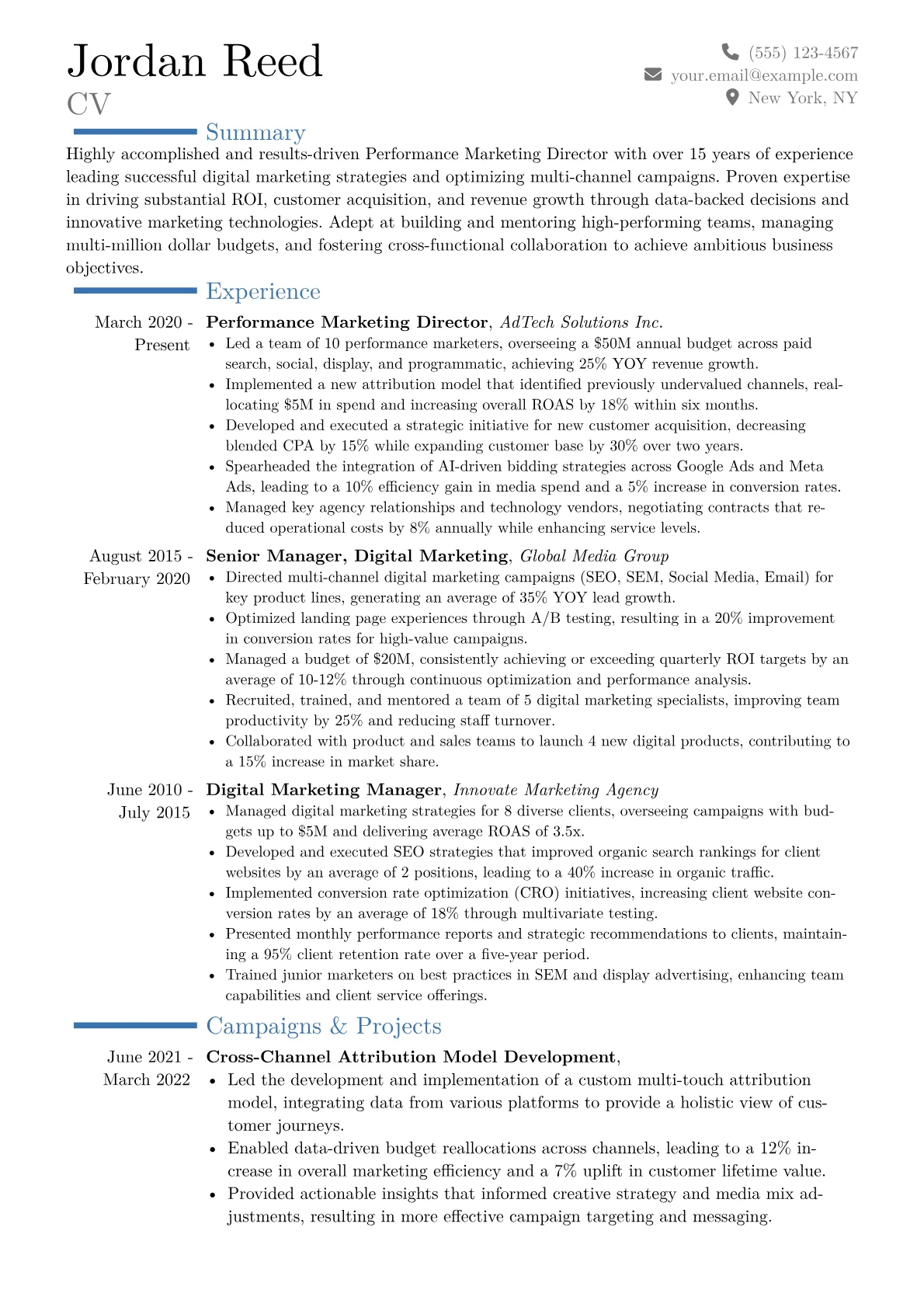 Performance Marketing Director Resume Example CV template - Page 1