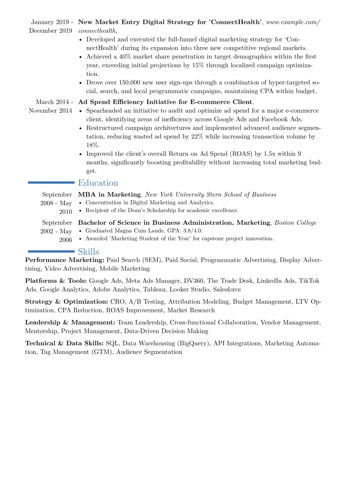 Performance Marketing Director Resume Example CV template - Page 2