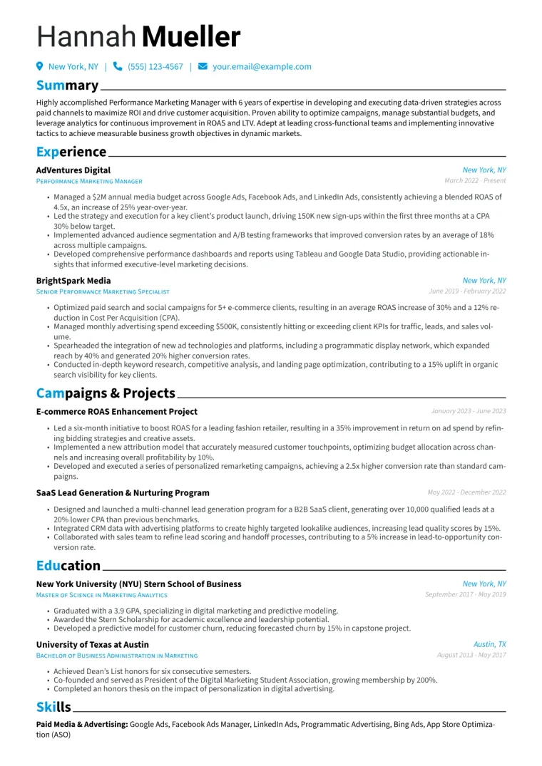 Performance Marketing Manager Resume Example CV template preview