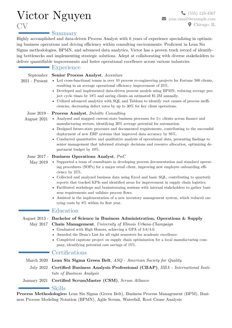 Process Analyst Resume Example CV template preview