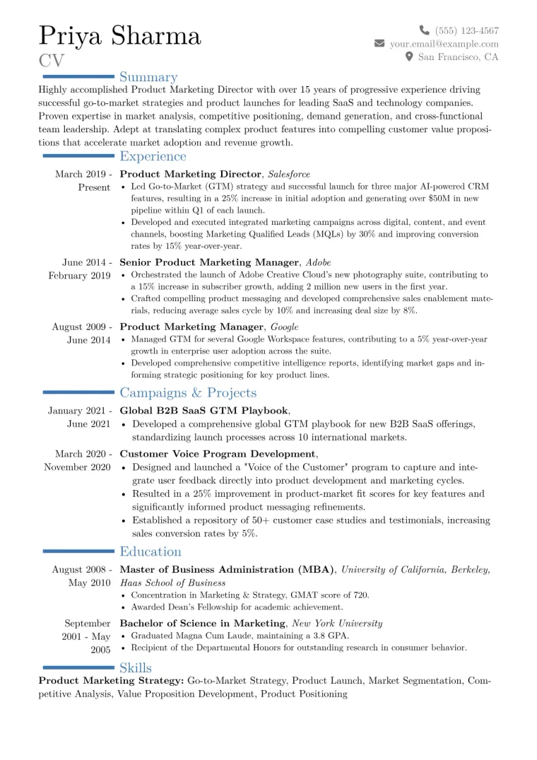 Product Marketing Director Resume Example CV template preview