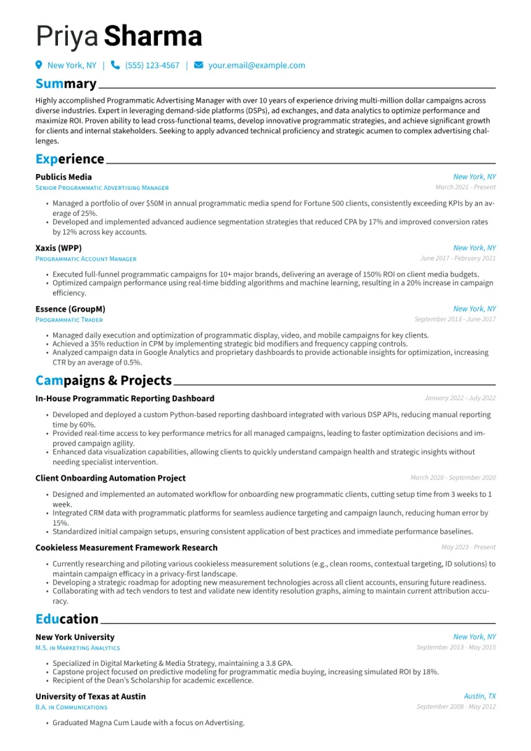 Programmatic Advertising Manager Resume Example CV template preview