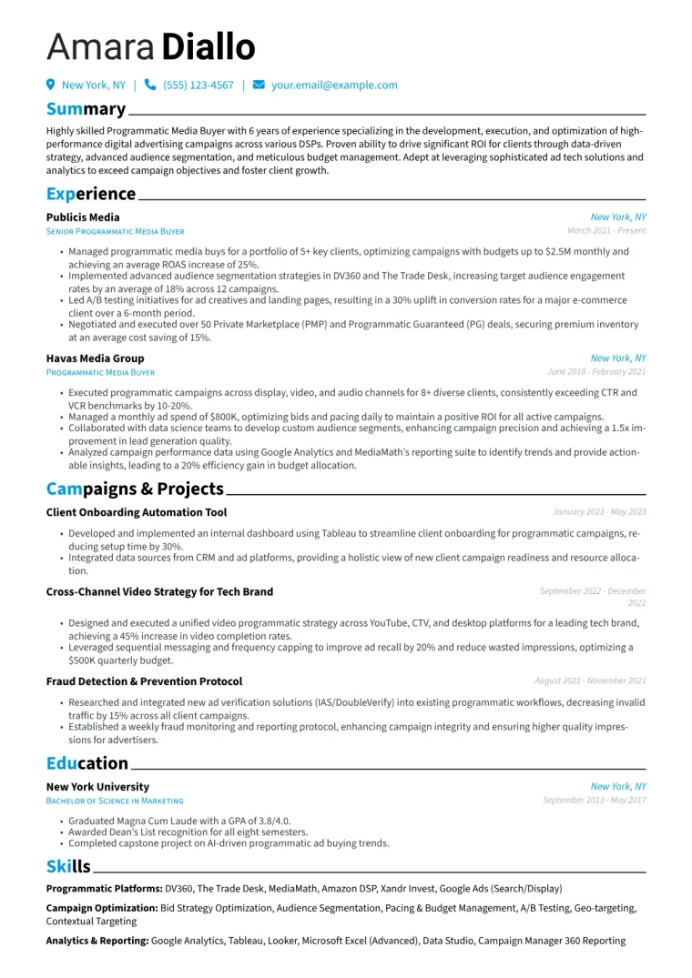 Programmatic Media Buyer Resume Example CV template preview