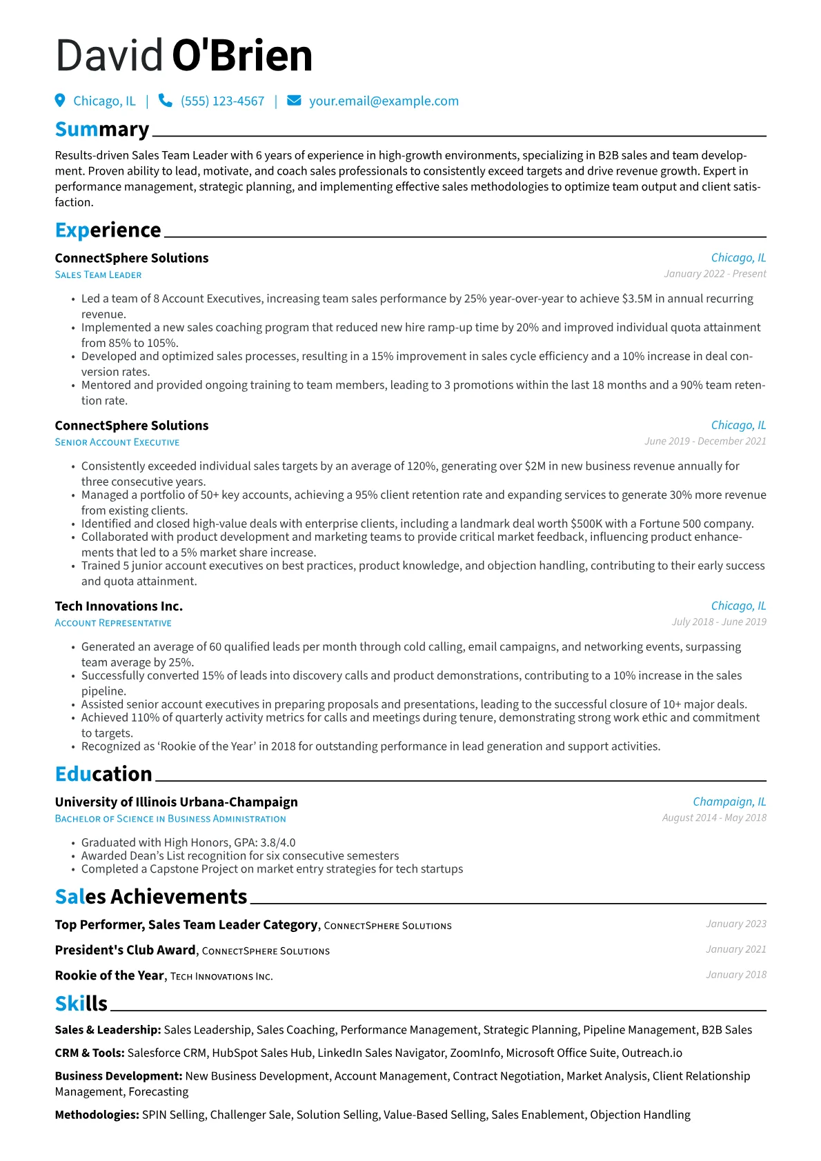 Sales Team Leader Resume Example CV template - Page 1