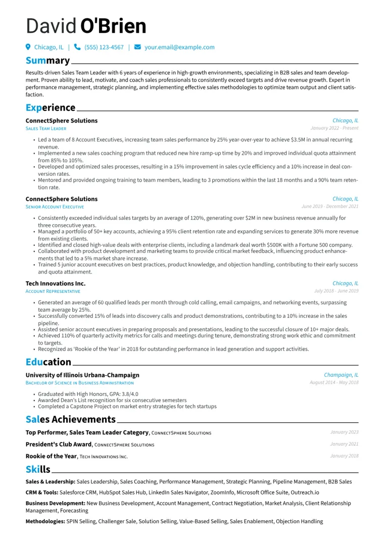 Sales Team Leader Resume Example CV template preview