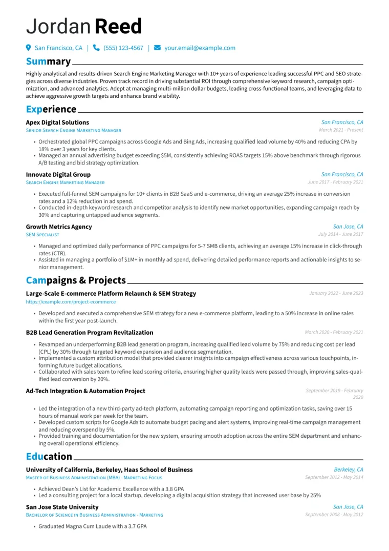 Search Engine Marketing Manager Resume Example CV template preview