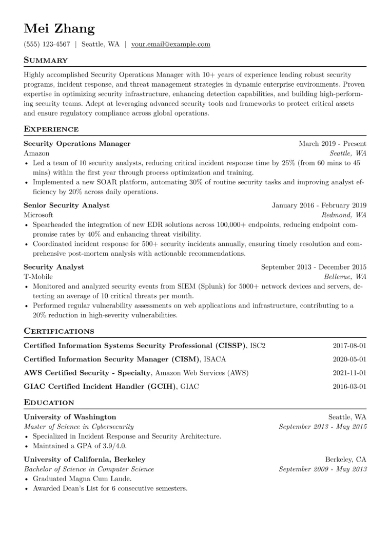 Security Operations Manager Resume Example CV template preview