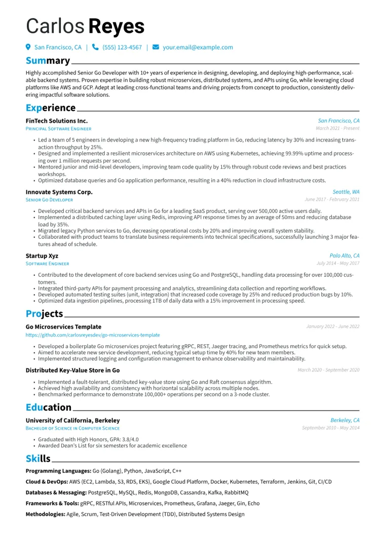 Senior Go Developer Resume Example CV template preview