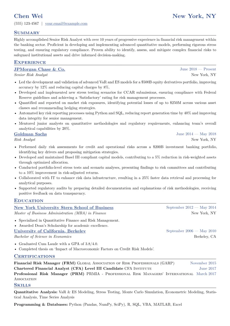Senior Risk Analyst Resume Example CV template preview