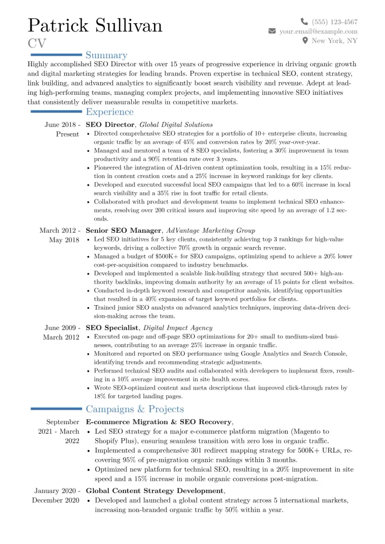 SEO Director Resume Example CV template preview