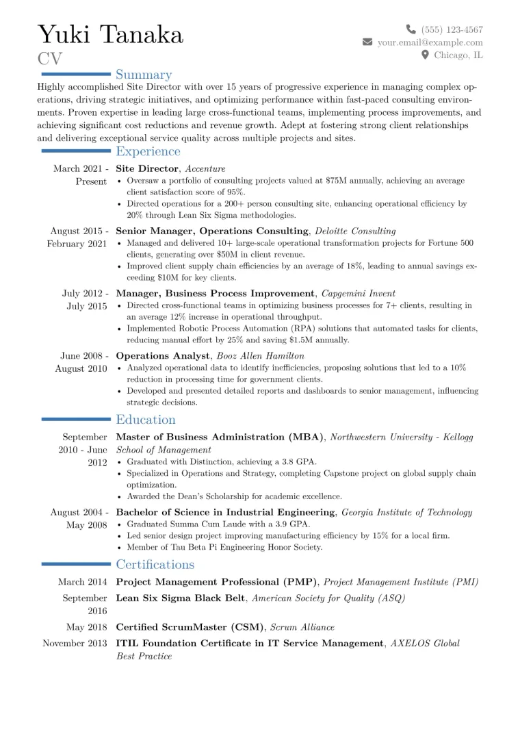 Site Director Resume Example CV template preview