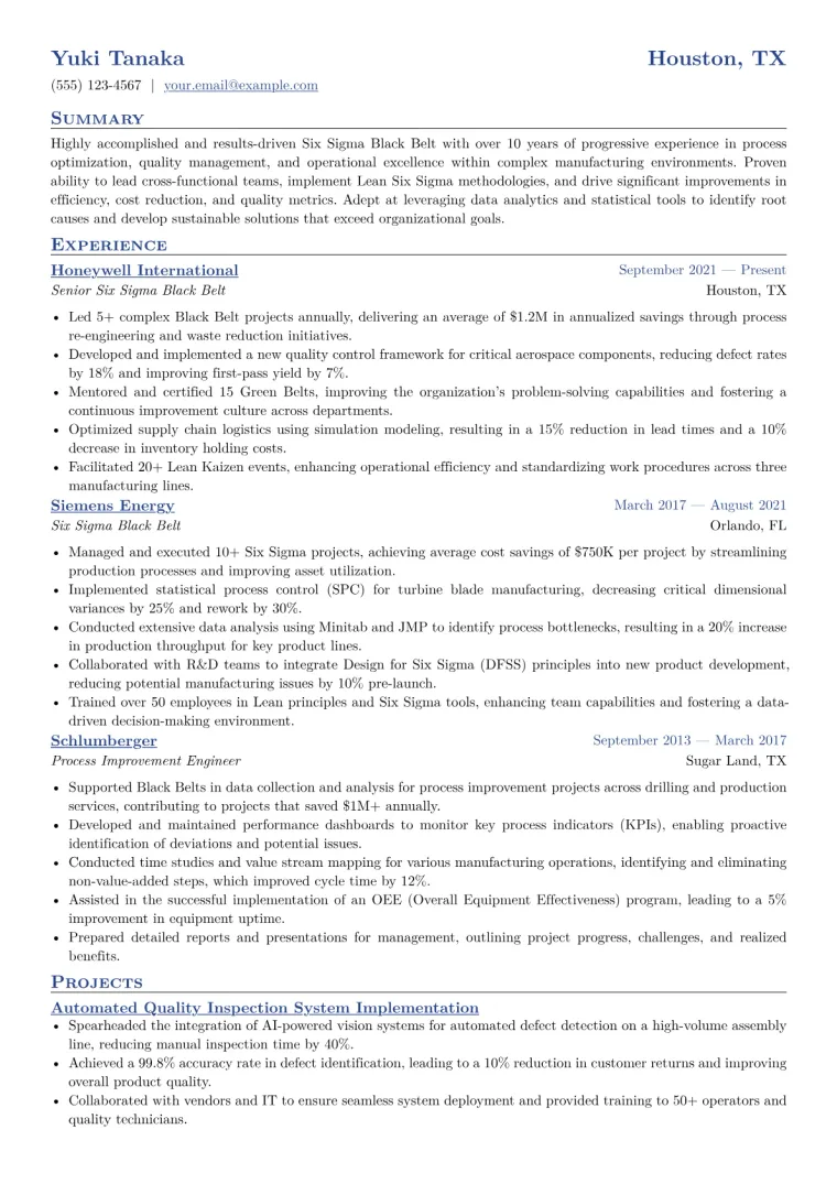 Six Sigma Black Belt Resume Example CV template preview
