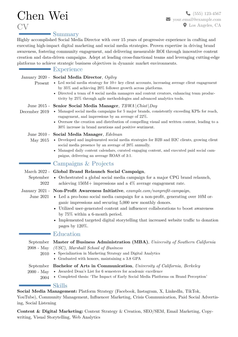 Social Media Director Resume Example CV template preview