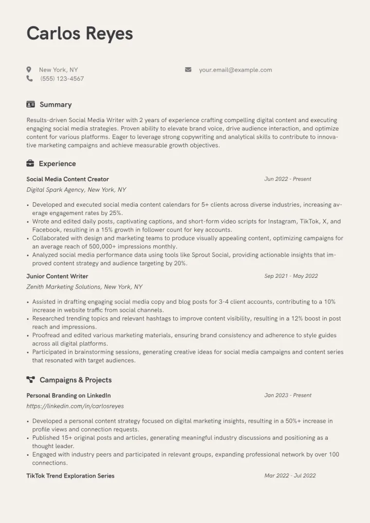 Social Media Writer Resume Example CV template preview