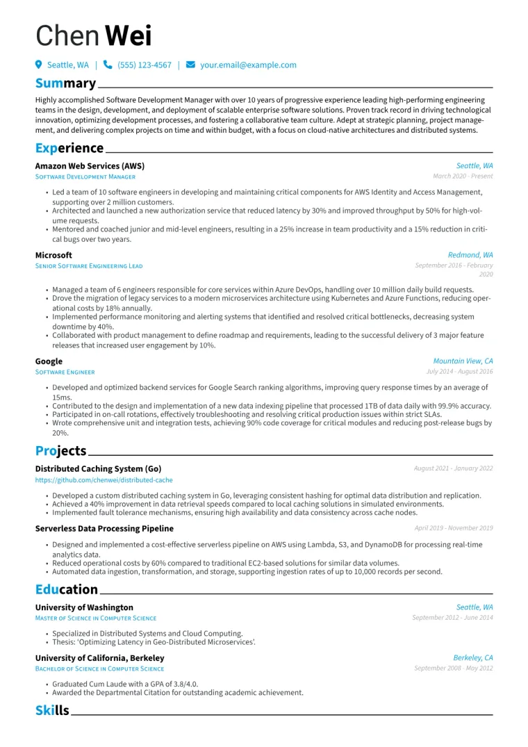 Software Development Manager Resume Example CV template preview
