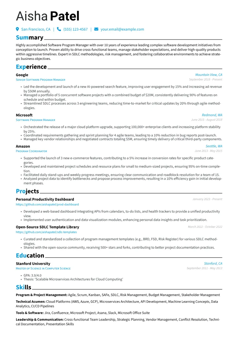 Software Program Manager Resume Example CV template preview