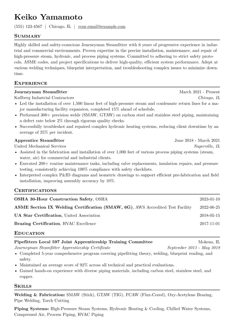 Steamfitter Resume Example CV template preview
