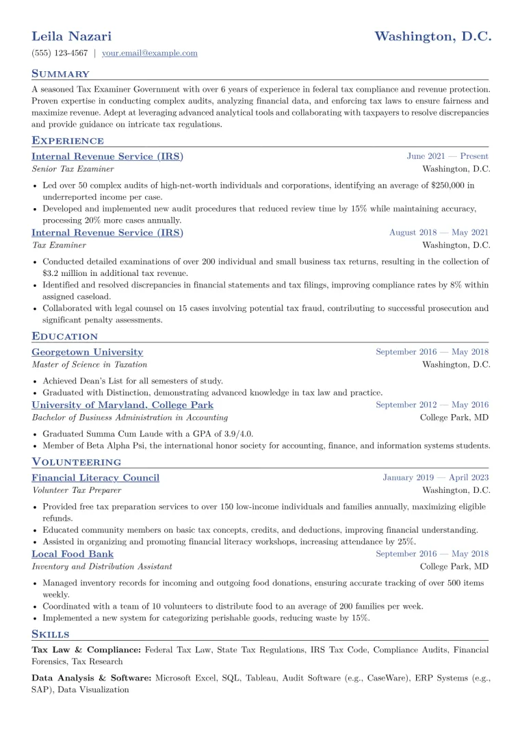 Tax Examiner Government Resume Example CV template preview