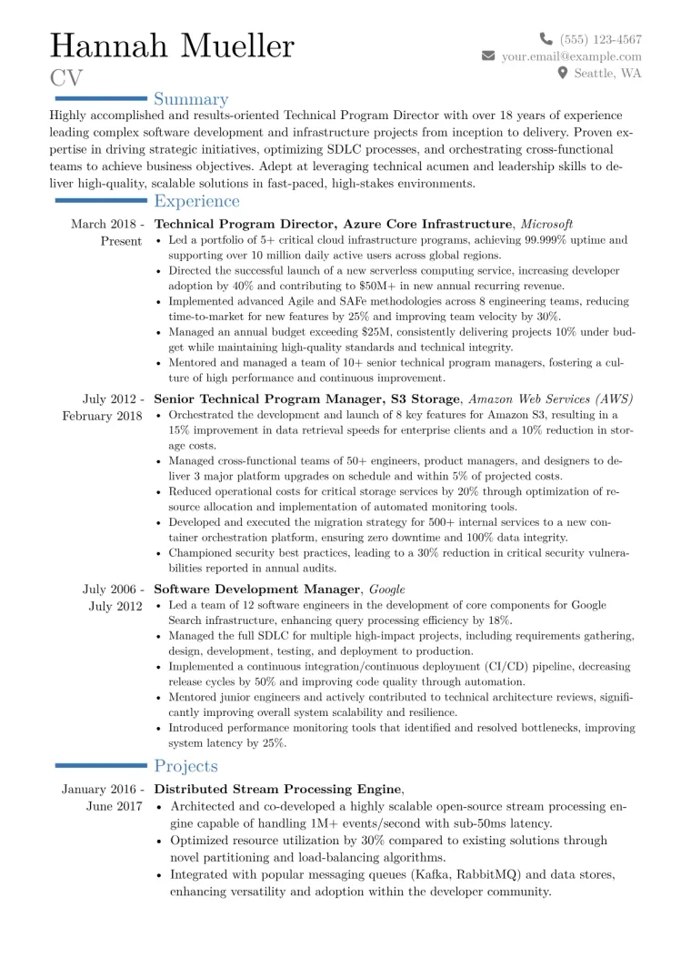 Technical Program Director Resume Example CV template preview