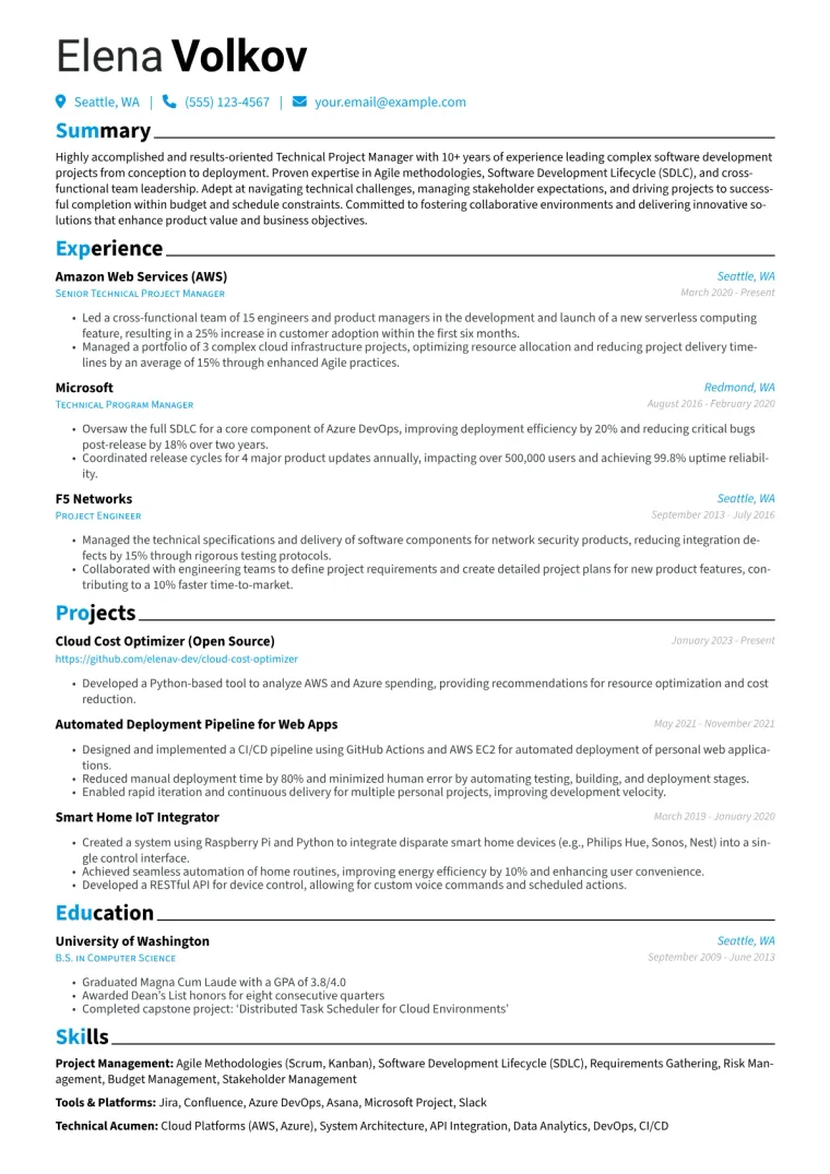 Technical Project Manager Resume Example CV template preview