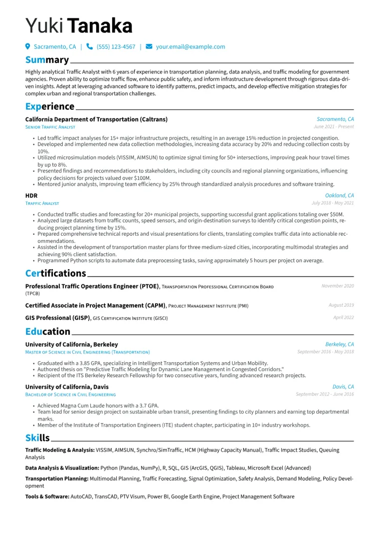 Traffic Analyst Resume Example CV template preview