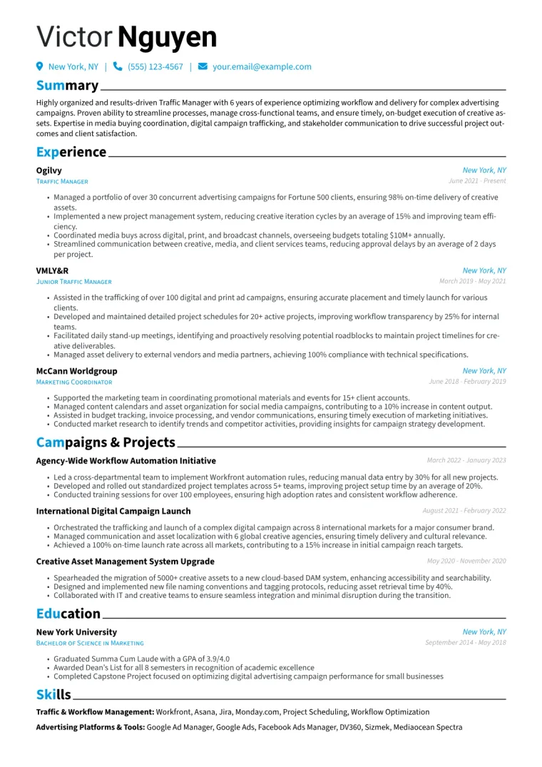 Traffic Manager Advertising Resume Example CV template preview